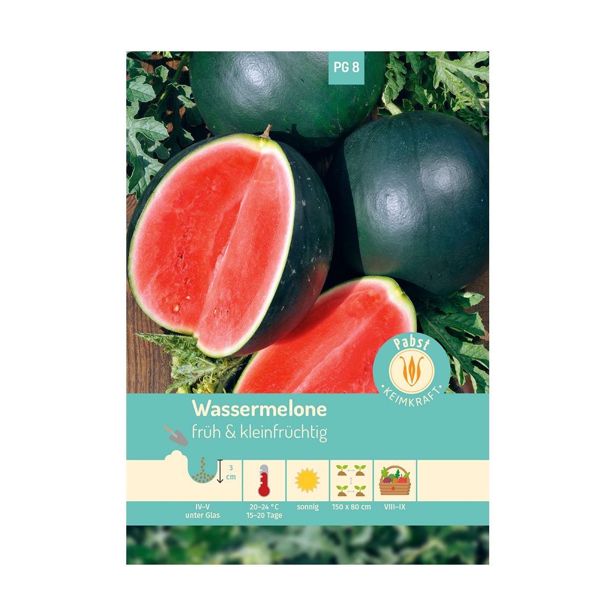 15x Mini Melonen Rot Sugar Baby Samen Obst Pflanze Rarität lecker #135 
