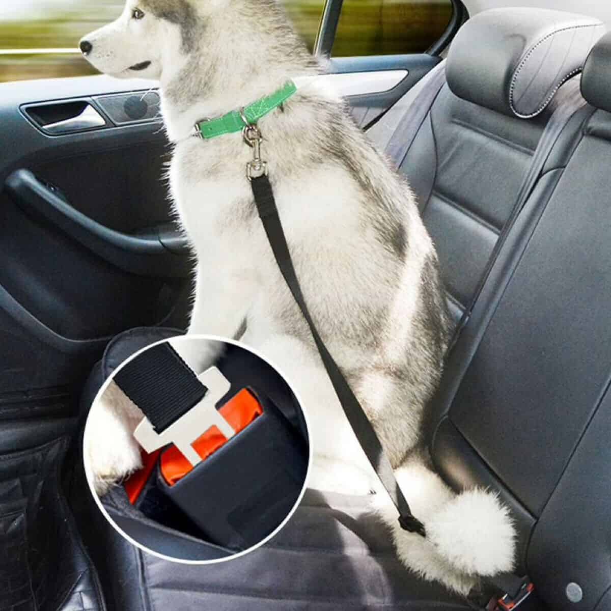 Auto KFZ HundeSicherheitsgurt Anschnallgurt Gurt Adapter